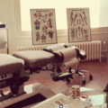 Amaury LEPORE, chiropracteur à Sainte-Savine