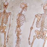 Vivien COUTURIER ostéopathe à Valence
