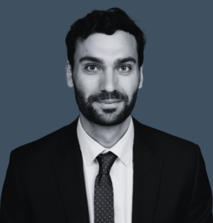 Intervenant externe David HOHENSCHURZ-SCHMIDT