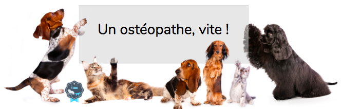 SOS ostéopathe en urgence