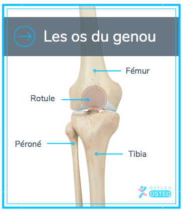 Douleur au genou : qu'est ce que c'est ?