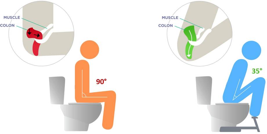 posture-wc