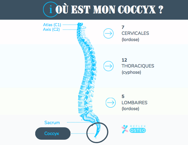 Douleur au coccyx, à la fesse ou au sacrum : comprendre et traiter