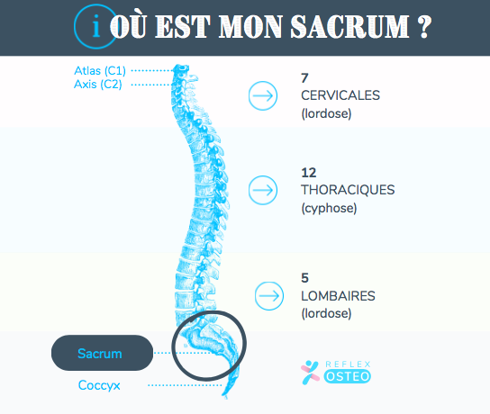 où est le sacrum