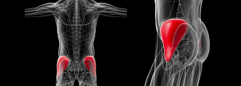 douleur-fesse-moyen-fessier