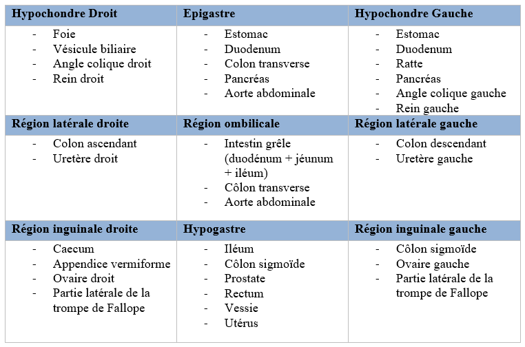 L'ostéopathie viscérale pour soigner le mal de ventre ?