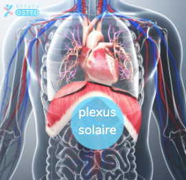 plexus solaire