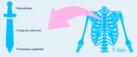 Douleur au sternum : comprendre et soulager son thorax