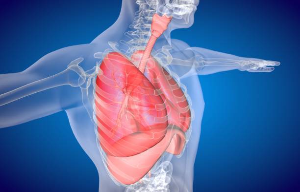 Mal au thorax et douleur au dos : quelles causes ?