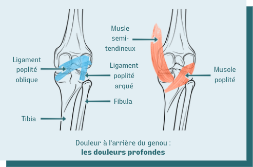 douleurs profondes arrière du genou