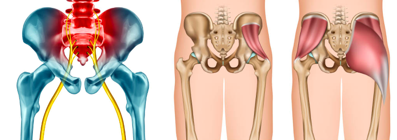 douleur dos jambes anatomie