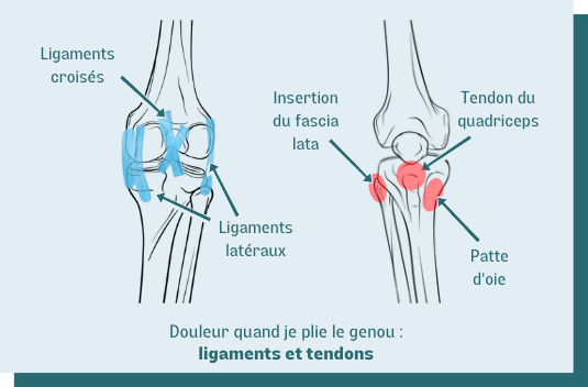 douleur quand je plie le genou