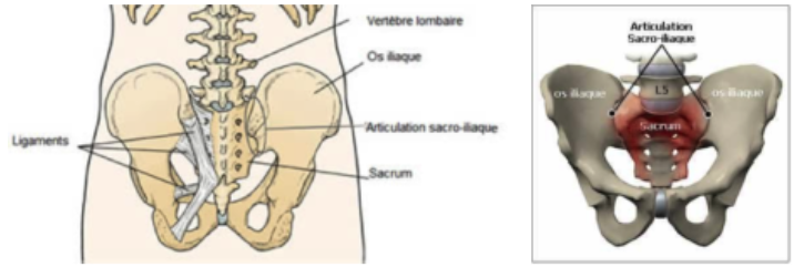 Spondylarthrite ankylosante : quel est le meilleur traitement ?