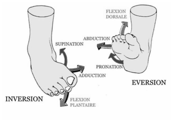 entorse du pied