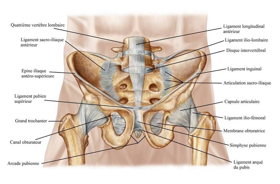 Douleur au sacrum