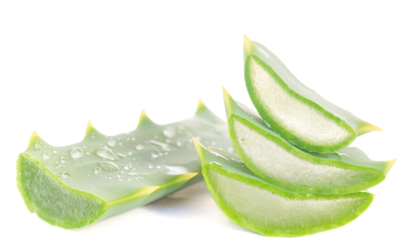 aloe-vera-diabete-naturel-plantes