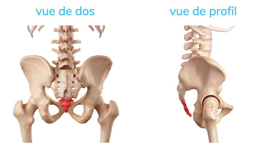 Douleur au coccyx