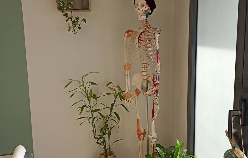 Ost%c3%a9o atm m%c3%a2choire - REFLEX OSTEO - le 1er réseau national de permanence en ostéopathie