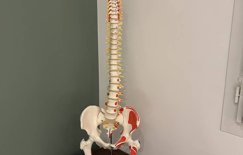 Img 7895 - REFLEX OSTEO - le 1er réseau national de permanence en ostéopathie