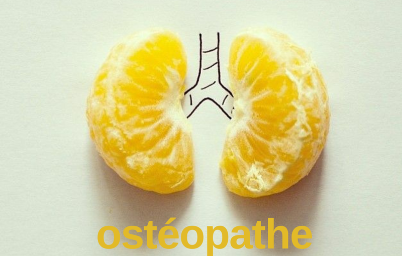 1 20251118 114416 0000 - REFLEX OSTEO - le 1er réseau national de permanence en ostéopathie
