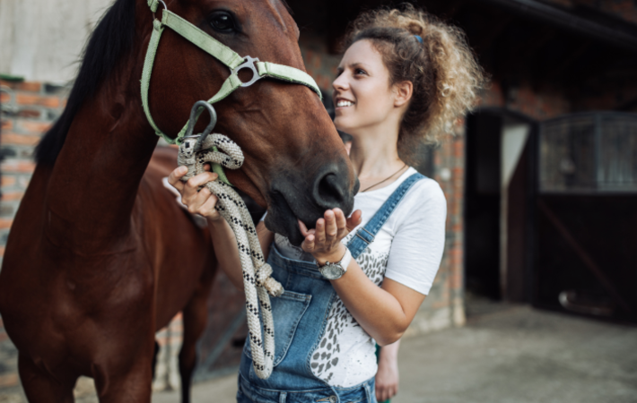 ostéopathe pour animaux : charte qualité