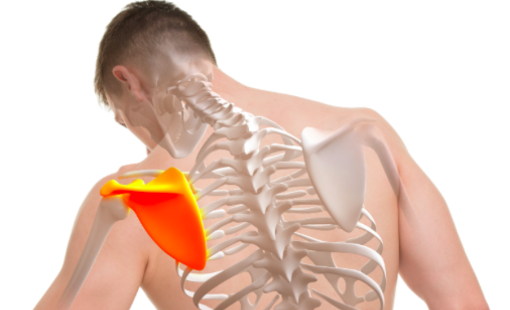 Douleur au sternum : comprendre et soulager son thorax