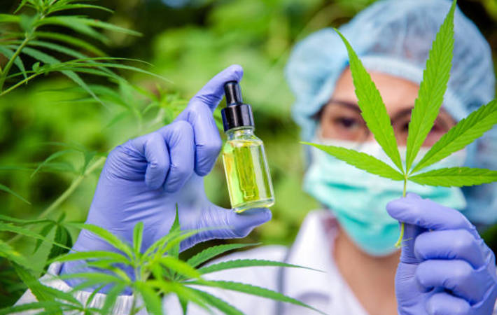 consommation de cbd dangers