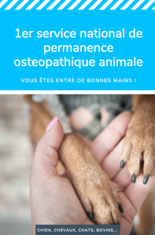 Osteopathie animale - REFLEX OSTEO - le 1er réseau national de permanence en ostéopathie