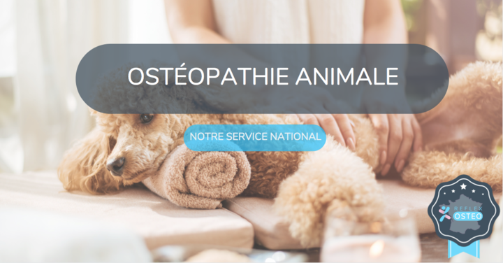 Osteopathe animal canin equin - REFLEX OSTEO - le 1er réseau national de permanence en ostéopathie